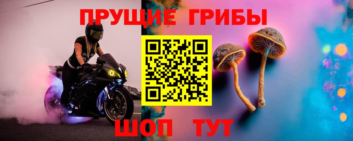 Галлюциногенные грибы Psilocybe Краснодар