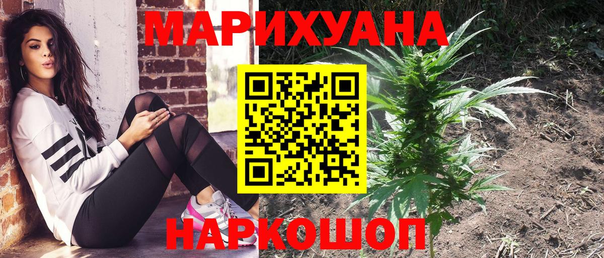 Шишки марихуана семена Краснодар